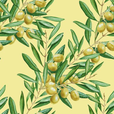 Arka plan zeytin dalı. seamless modeli. Sulu Boya illustrati