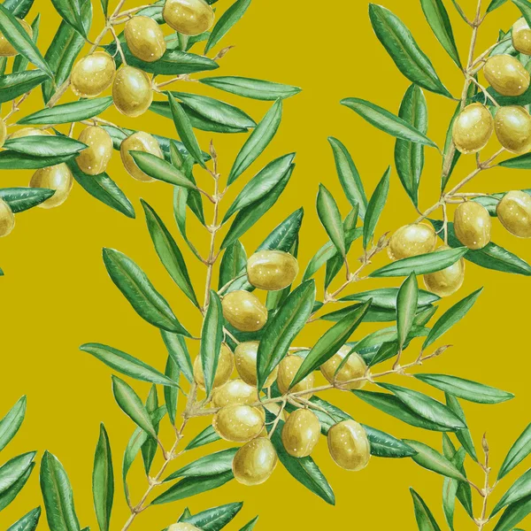 Fundo ramo de oliveira. padrão sem costura. aquarela ilustrati — Fotografia de Stock