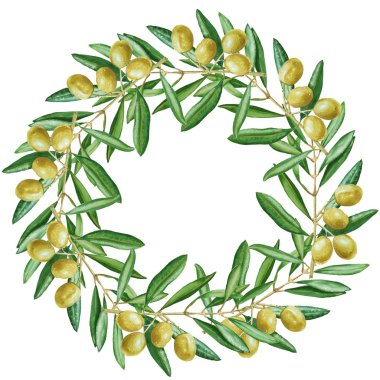 Zeytin Wreath meyve ile. izole. suluboya resim.