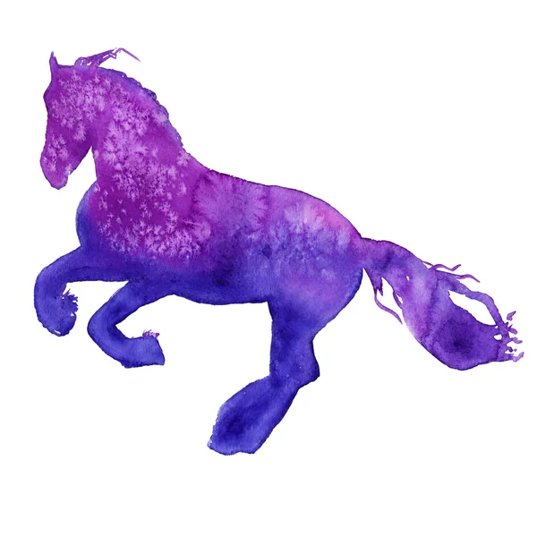 Silhuetten av en häst. isolerade. akvarell illustration — Stockfoto