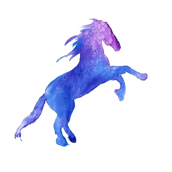 Silhouette eines Pferdes. Vereinzelt. Aquarellillustration — Stockfoto