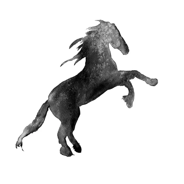 Silhueta de um cavalo. isolado. ilustração aquarela — Fotografia de Stock