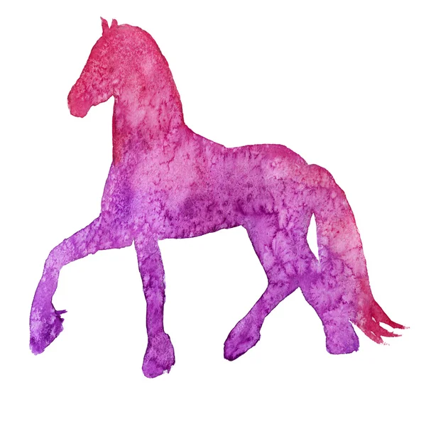Silhouette eines Pferdes. Vereinzelt. Aquarellillustration — Stockfoto