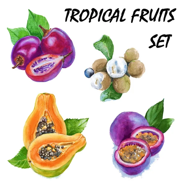 Ställa in tropiska frukter longan, tamarillo, papaya och passionsfrukt. — Stockfoto