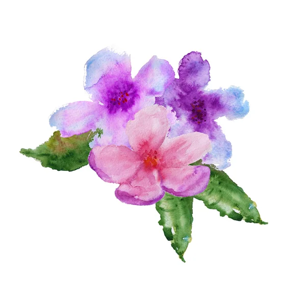 Cherry flower. isolated. watercolor illustration — Stock Photo, Image