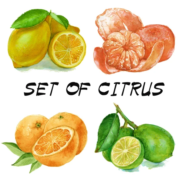 Set med citrus. apelsin, citron, lime och tangerin. isolerade. WA — Stockfoto