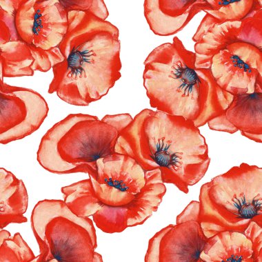arka plan üç poppy. seamless modeli. Sulu Boya illustratio