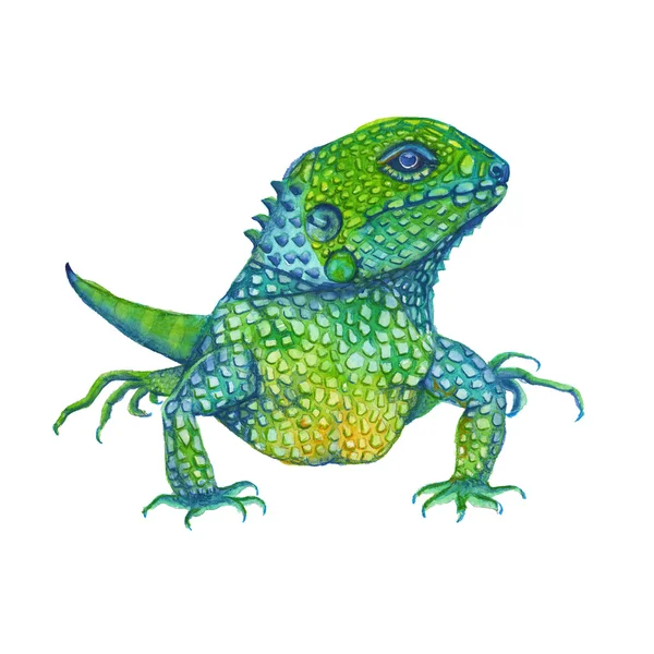 Lagarto de iguana. isolado. ilustração aquarela — Fotografia de Stock