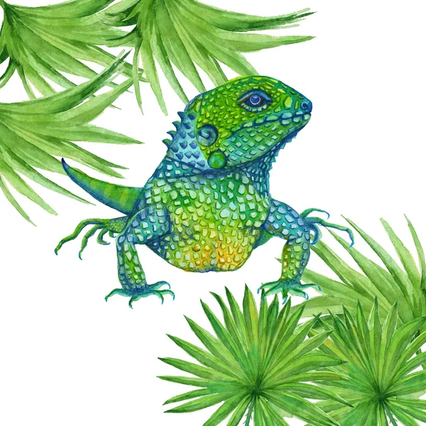 Iguana ödlan. isolerade. akvarell illustration — Stockfoto