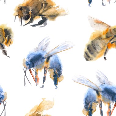 arka plan arı. seamless modeli. suluboya resim.