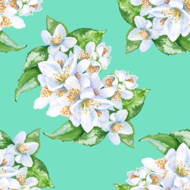arka plan Yasemin çiçekleri. seamless modeli. Sulu Boya illustr