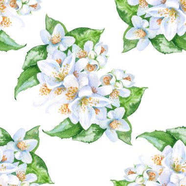 arka plan Yasemin çiçekleri. seamless modeli. Sulu Boya illustr