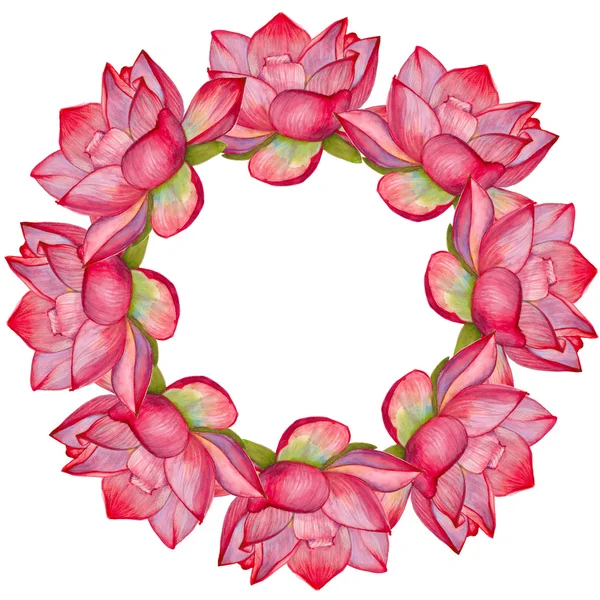 Rosafarbener Lotusblütenkranz. isoliert auf weißem Hintergrund. Wasserkogel — Stockfoto