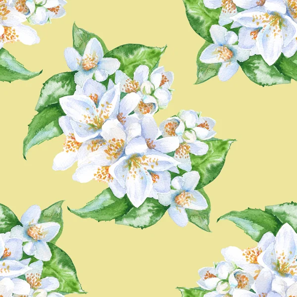 Tło jaśminu kwiaty. Jednolity wzór. akwarela ilustr — Zdjęcie stockowe