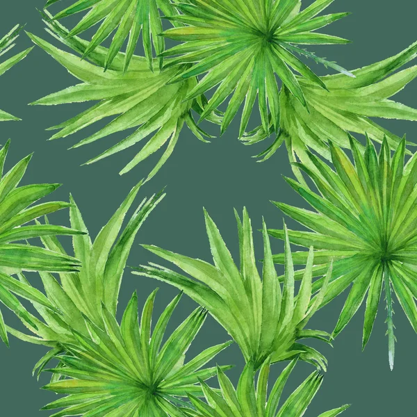 Fondo hojas de palmera. Patrón sin costuras. Ilustración acuarela —  Fotos de Stock