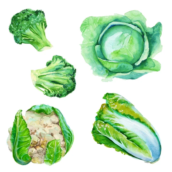 Imposta il cavolo. Cavolo, broccoli, cavolfiore, cavolo cinese. E ' — Foto Stock