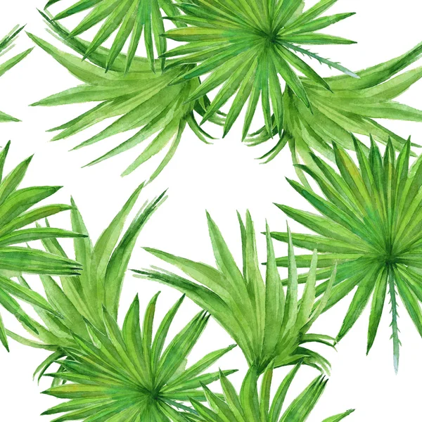 Achtergrond palmboom verlaat. Naadloos patroon. Aquarel illust — Stockfoto