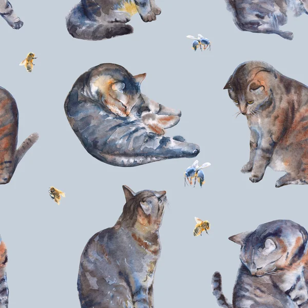 Bakgrund med katter och bin. sömlöst mönster. akvarell Köhlerbe — Stockfoto