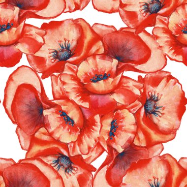 arka plan poppy. seamless modeli. suluboya resim