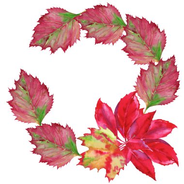 Düşen bir yaprak bir çelenk. Beyaz bir arka plan üzerinde izole. Suluboya resim. 