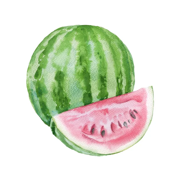 Wassermelone. isoliert auf weißem Hintergrund. Aquarellillustration. — Stockfoto
