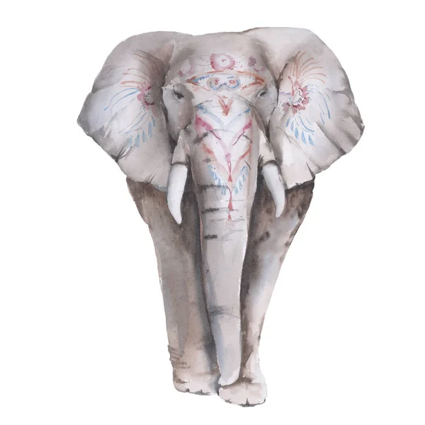 Elefante indio. Aislado sobre un fondo blanco. — Foto de Stock