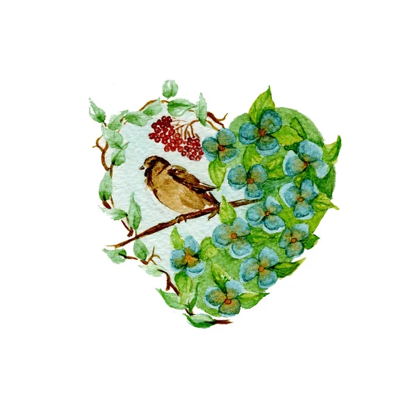 Heart Valentine bird and flowers watercolor — 스톡 사진
