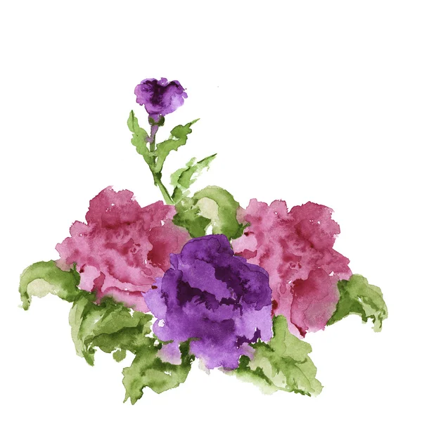 Kit peonies flowers watercolor — Stockfoto