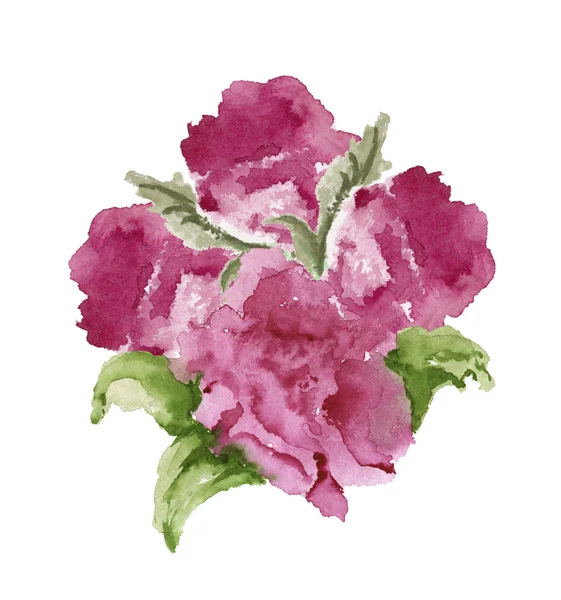 Background flowers peonies watercolor — Stockfoto