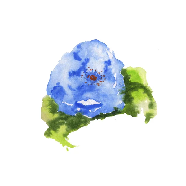 Квітка, синій акварель — стокове фото