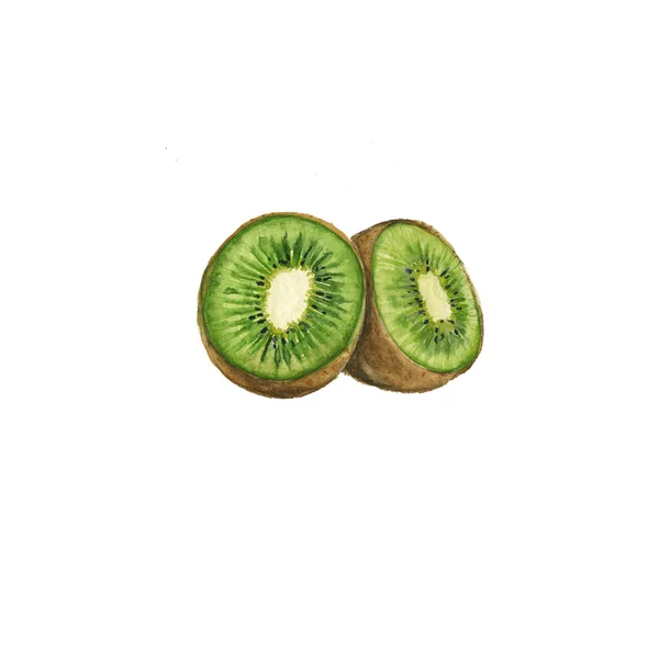 Dos kiwi aislado acuarela verde — Foto de Stock