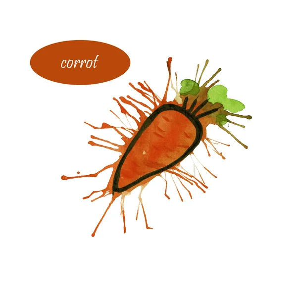 Контур моркви на акварельній плямі — стокове фото
