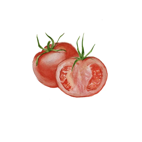 Rijpe tomaten geïsoleerde aquarel — Stockfoto