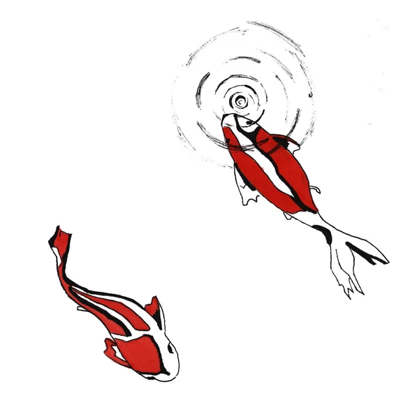 Szkic ryby są czerwone z białym trochę wody w akwarela — Zdjęcie stockowe