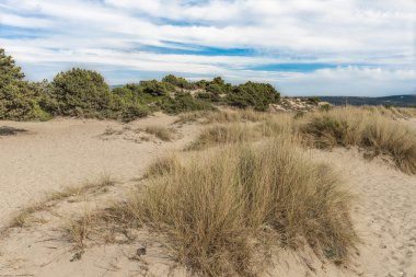 Dune Navarin Körfezi