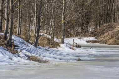 Orman gölette bahar