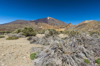 Teide yanardağı Caldera