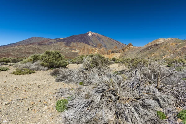 A Caldera, a Teide vulkán — Stock Fotó