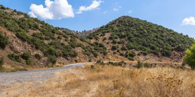 Bir dağ yol kenarında