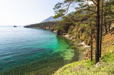 Baykal Gölü kıyısında çam ormanı