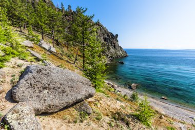 Baykal Gölü kıyısında Karaçam
