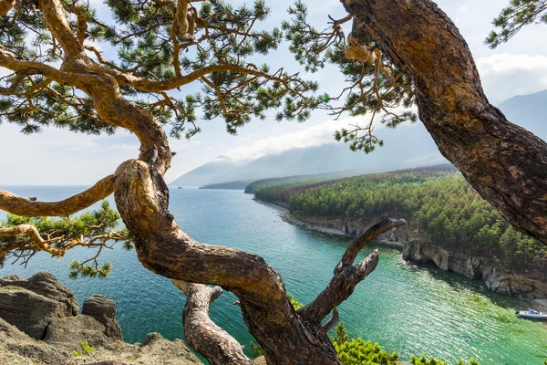 La orilla sinuosa en el horizonte —  Fotos de Stock