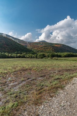 Kış ormanıyla kaplı yeşil yamaçların üzerinde akşam sisi kıvrılır..