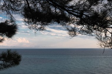 Bir çam ağacının dalları arasından Karadeniz kıyısında gün batımını görebilirsiniz.