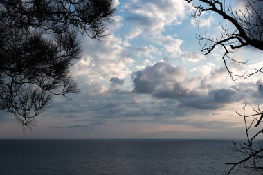 Bir çam ağacının dalları arasından Karadeniz kıyısında gün batımını görebilirsiniz.