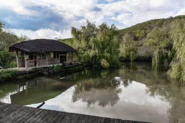 Ağlayan söğütlerle çevrili bir gölün kenarındaki ahşap çardak.