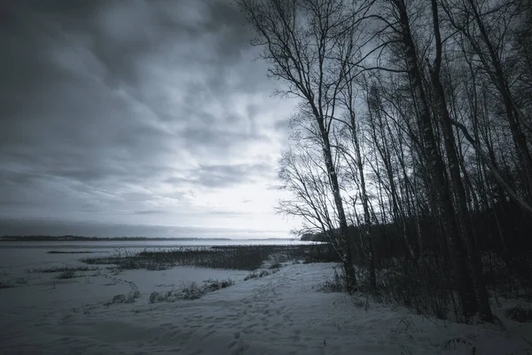 落日的最后一缕光芒照亮了冬季森林湖畔的白桦树林的边缘 — 图库照片