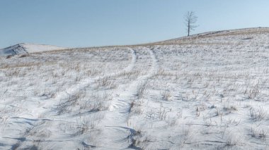Kış yolu, Olkhon adasında ender bir ormanla kaplı tepelerle kaplı bozkırın içinden geçer..