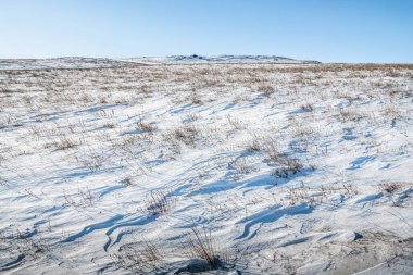 Ender bulunan kozalaklı ağaçlar ve alçak tepelerle Tazheran bozkırlarının sonsuz karlı genişlikleri..