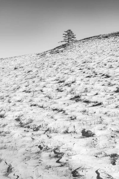 Camino Invierno Pasa Través Estepa Cubierta Nieve Cubierta Colinas Con — Foto de Stock